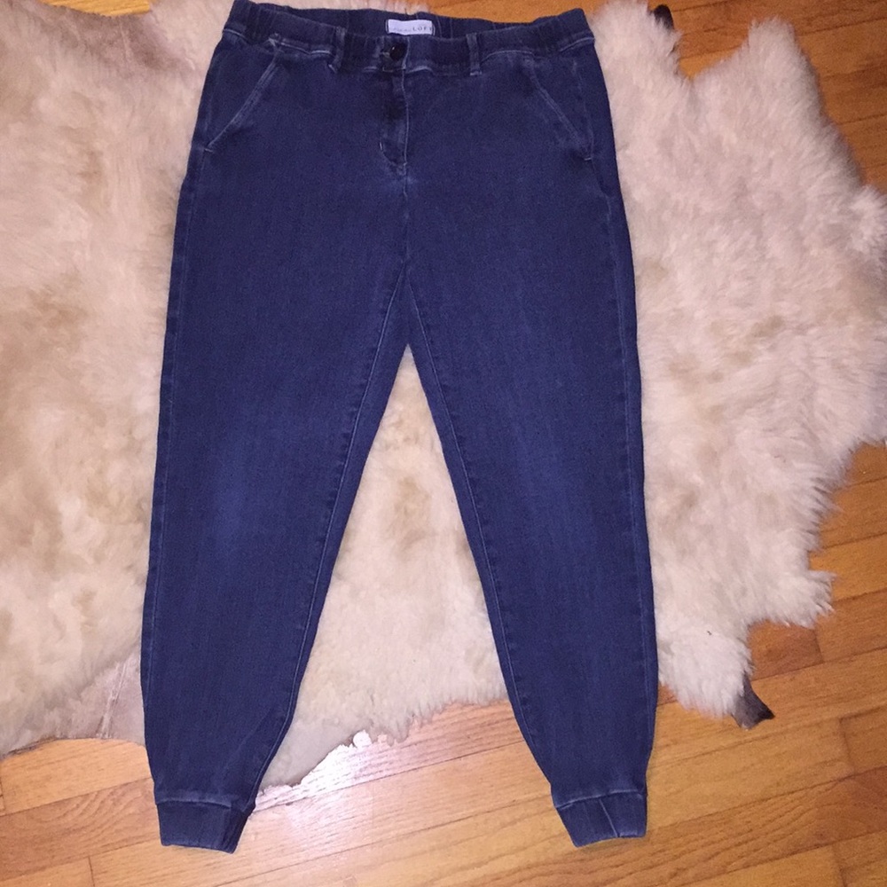Ann Taylor LOFT Jogger Style Jeans